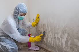 Why You Should Choose Our Mold Remediation Services in Dupont, PA